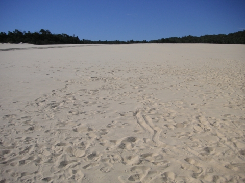 s_B_PICT0005.jpg
